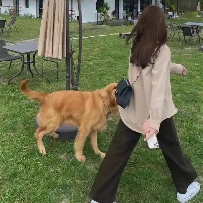 超犀女王