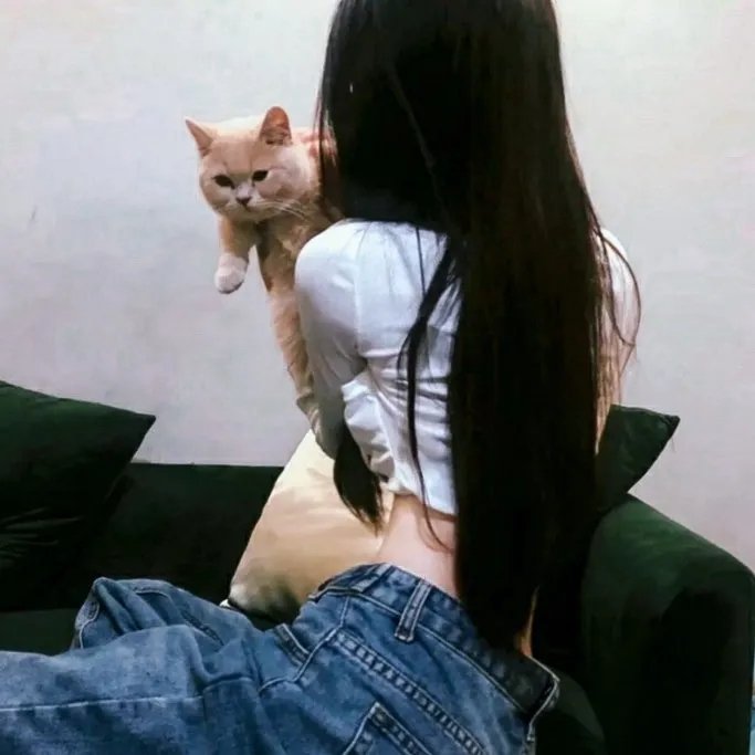 新忠烈图